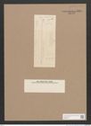 Navicula sp. (de-Toni-Nr.: Genus 1) Zeichnungen Sammlung Grunow Nr. 1581 (NHMW-BOT-W0368117)
